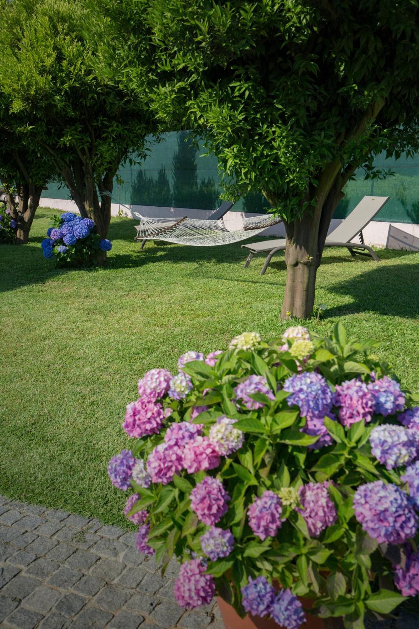 Suite Em Viana Do Castelo Exterior photo