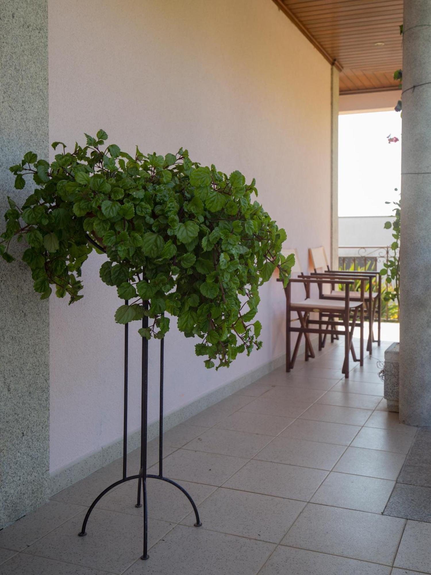 Suite Em Viana Do Castelo Exterior photo